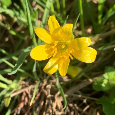 Individuelle Betrachtung deiner Situation im Telefongespräch